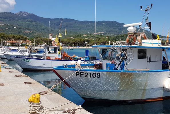 Il porto di Marina di Campo