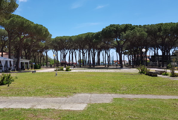 Dove Siamo _ La pineta di Marina di Campo